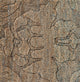 Surya Galloway GLO-1001 2' x 3' Rug