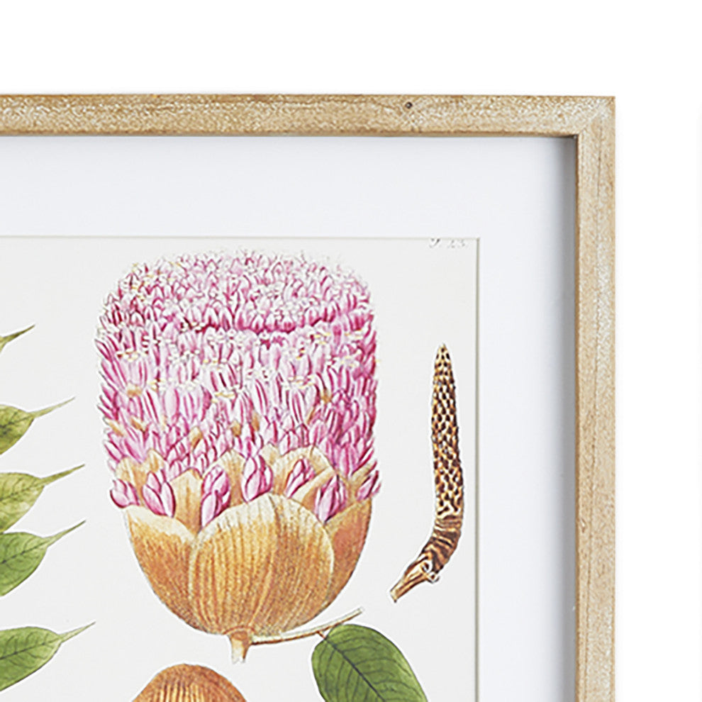 Leaf Botanical Study
