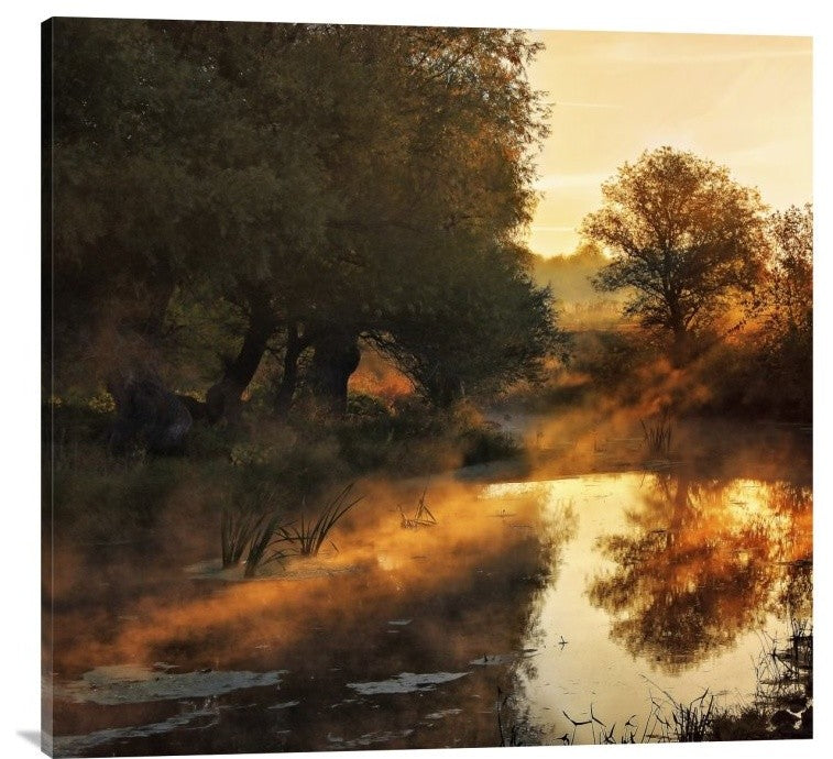 "When Nature Paints With Light" Stretched Canvas Giclee by Jimbi, 36x34"