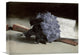 "Bunch of Violets" Stretched Canvas Giclee by Edouard Manet, 16"x12"