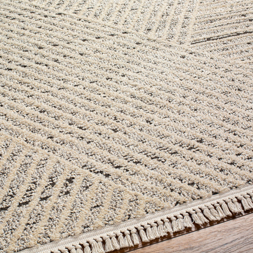 Berlin BLR-2302 Machine Woven Area Rug, 6'7" X 9'