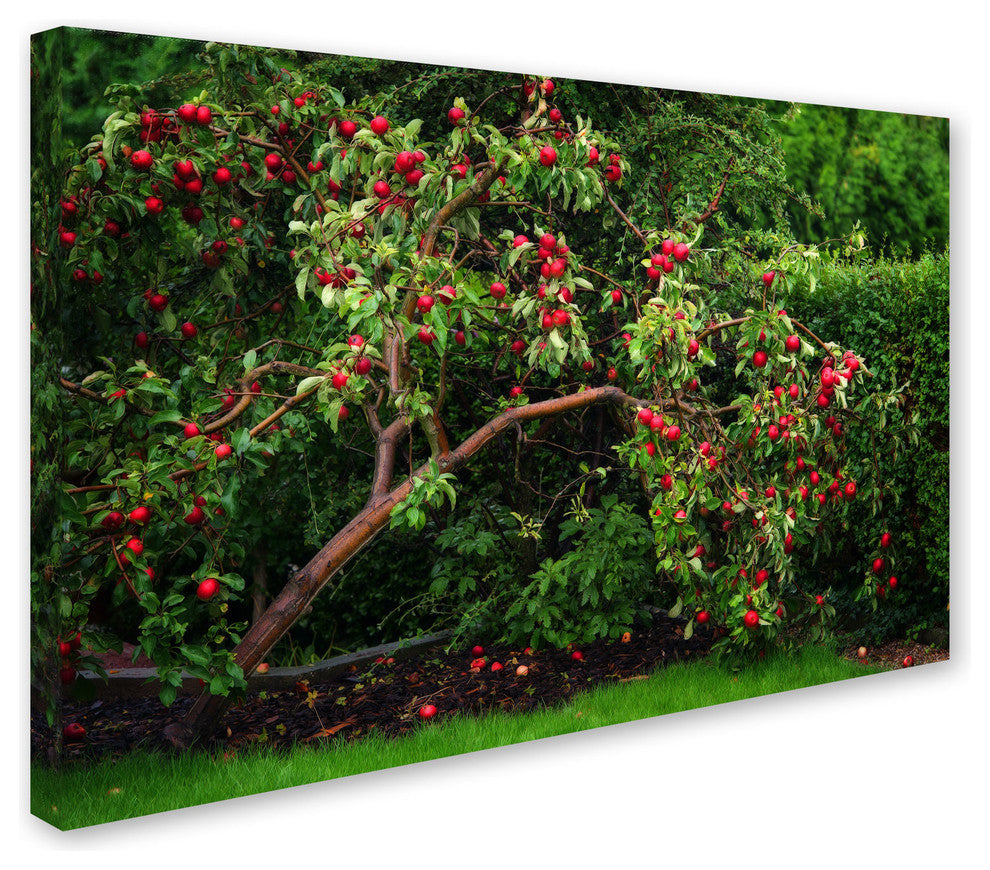 'The Apple Tree' Canvas Art by Philippe Sainte-Laudy