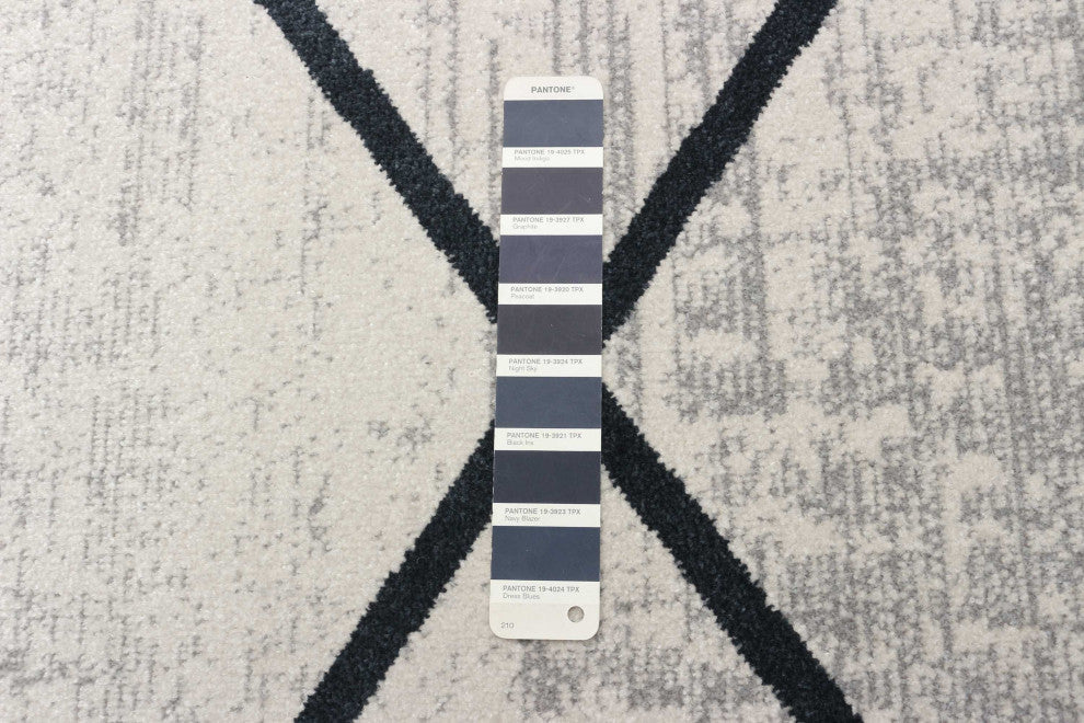 Aqua Damali Area Rug, Ivory/Blue, 8'x10'