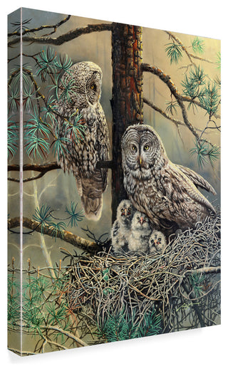 "Great Gray Owl  Family     " by D. Rusty Rust, Canvas Art