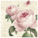 "Roses in Paris VI" Digital Paper Print by Katie Pertiet, 38"x38"