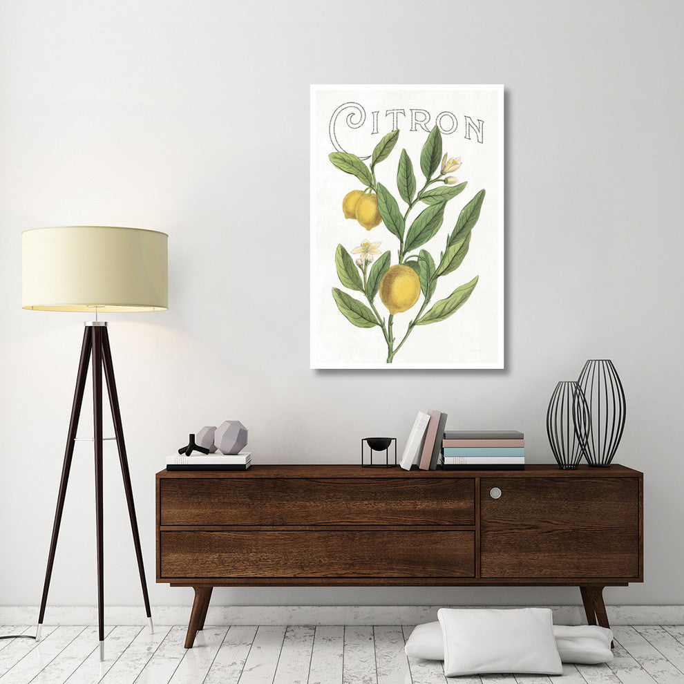 "Classic Citrus V v2" Digital Paper Print by Sue Schlabach, 34"x50"