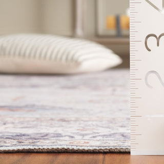 Safavieh Arizona Machine-Washable Collection ARZ137 Rug, Grey/Light Grey, 4'x6'