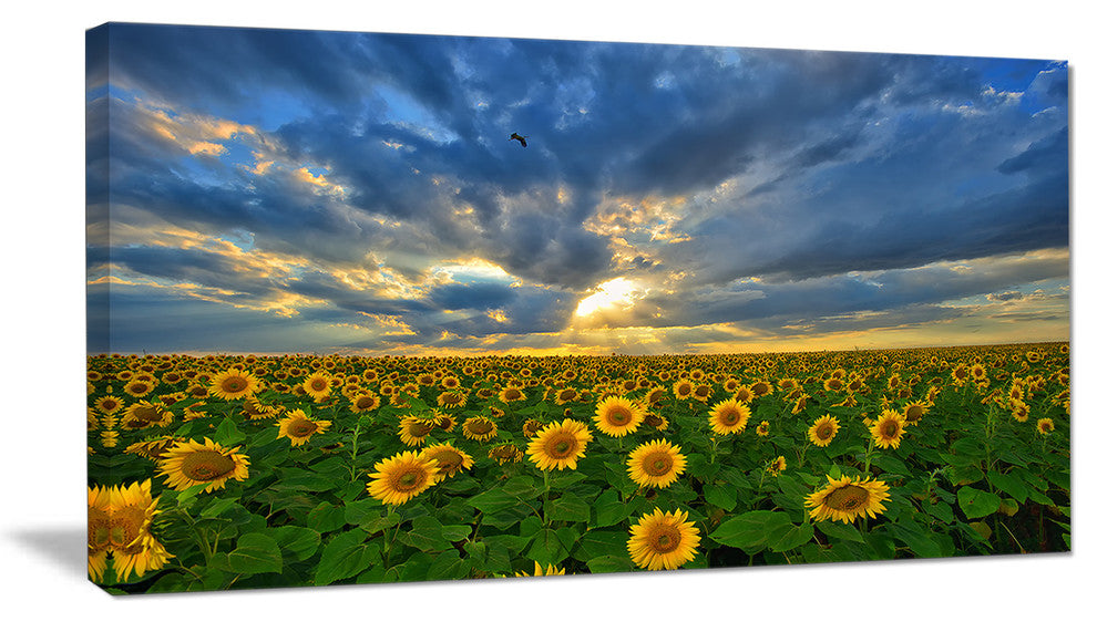 Beauty Sunset over Sunflowers, Landscape Canvas Art Print, 32"x16"