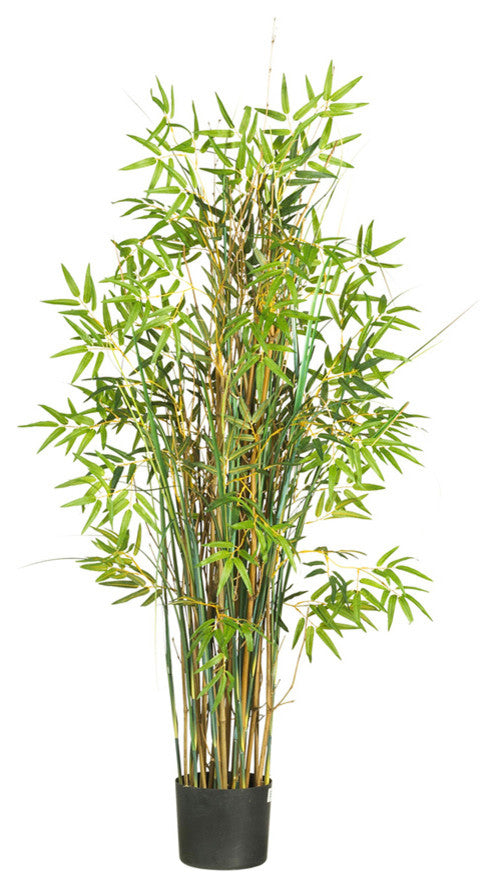 5' Bamboo Grass Silk Plant