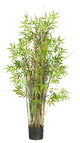 5' Bamboo Grass Silk Plant