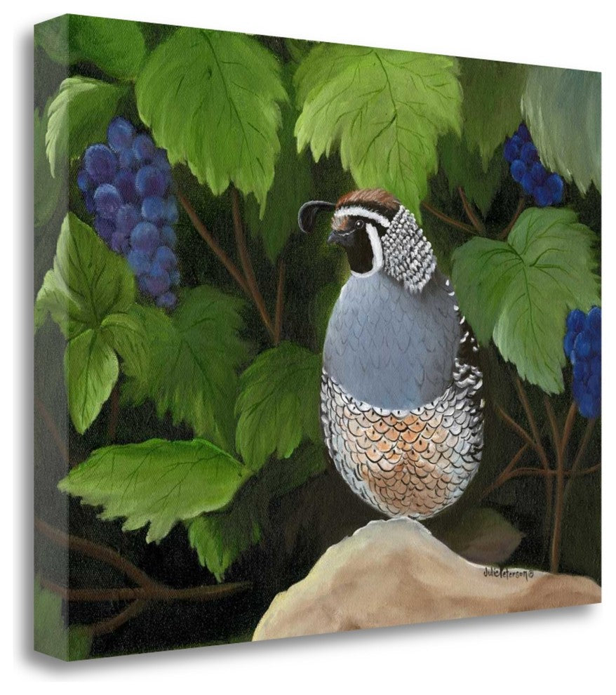 "Quail Grapes" By Julie Peterson, Giclee Print on Gallery Wrap Canvas