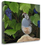 "Quail Grapes" By Julie Peterson, Giclee Print on Gallery Wrap Canvas