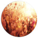 Brown Shade Flowers In Sunshine, Flower Round Metal Wall Art, 36"
