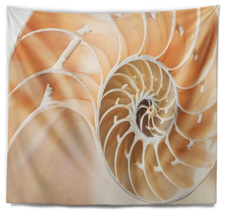 Brown Nautilus Shell Pattern Contemporary Wall Tapestry, 92"x78"
