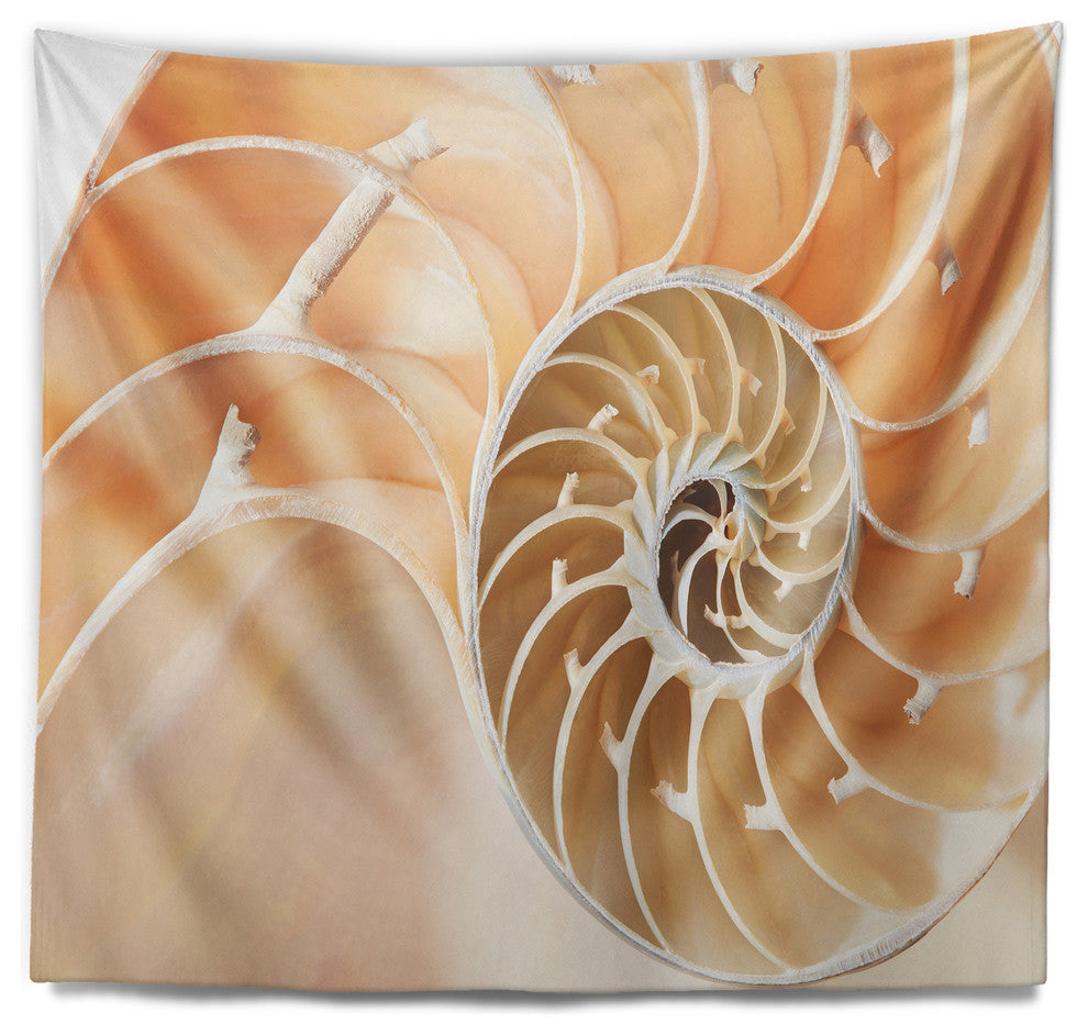 Brown Nautilus Shell Pattern Contemporary Wall Tapestry, 92"x78"