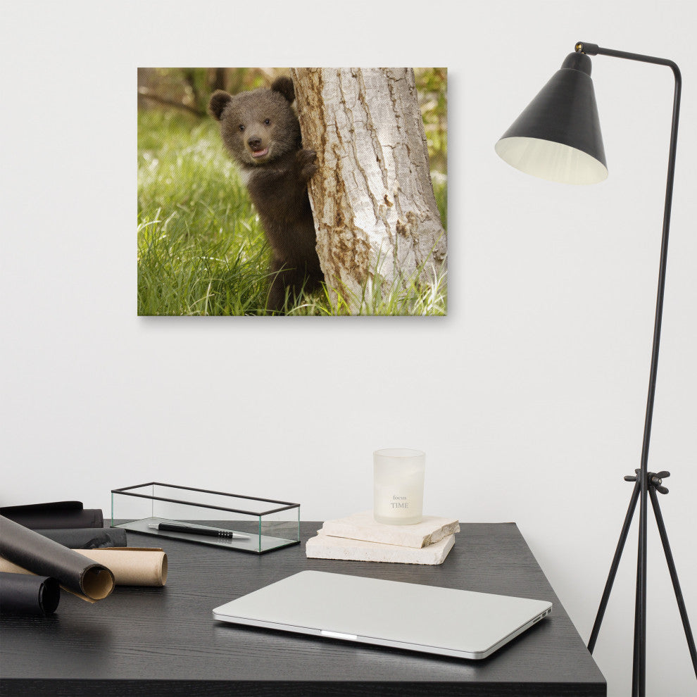 Baby Grizzly Bear Cub Behind Tree In Meadow Wildlife Photo Canvas Wall Art Print, 16" X 20"