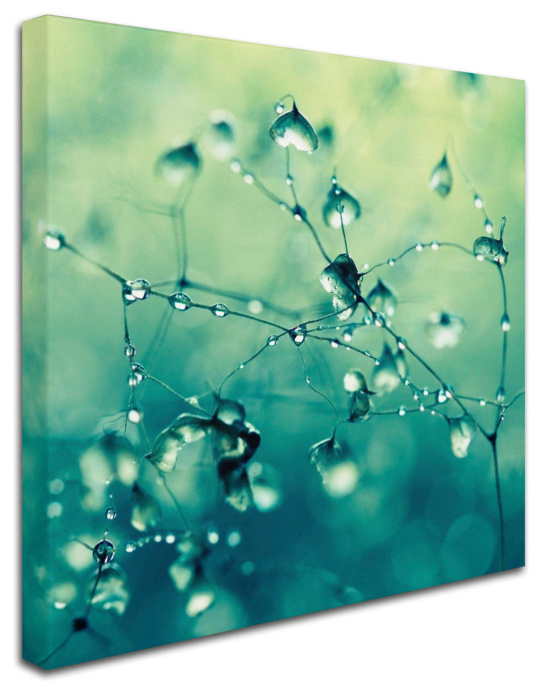 'Spring Notes' Canvas Art by Beata Czyzowska Young