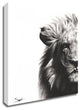 Lion II by Eric Sweet, Print on Canvas, 16"x20"