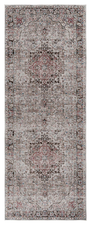 Safavieh Antique Patina ANP642 Rug, Beige/Brown, 4'x10'