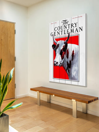 "CG Bull" Painting Print on White Wood