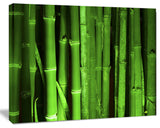 Green Bamboo Forest, Large Floral Canvas Art Print, 60x40