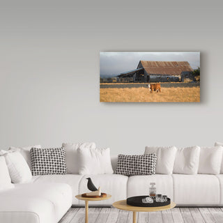 Lance Kuehne 'Cow Portrait' Canvas Art, 24"x12"