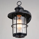 Lake Shore Steel 1 Light Black Coastal Outdoor Wall Lantern Clear Glass