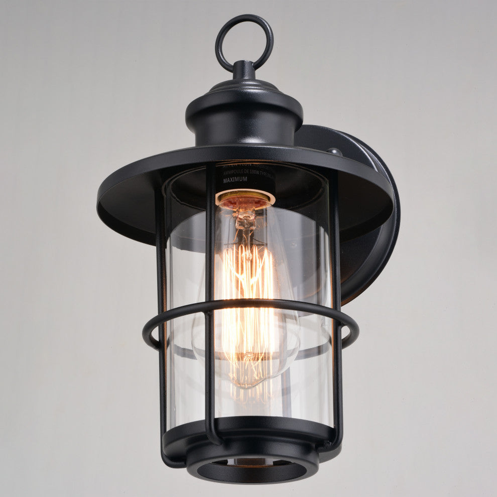 Lake Shore Steel 1 Light Black Coastal Outdoor Wall Lantern Clear Glass