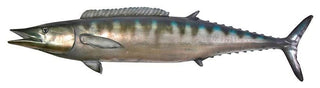 "Wahoo" Fish Wall Mount Trophy Sculpture