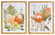 Framed Protea Floral Wall Art, 2-Piece Set
