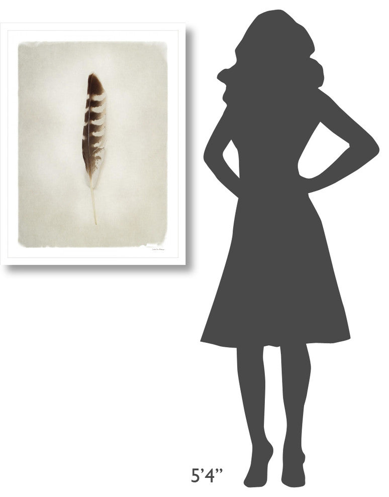 "Feather IV" Digital Paper Print by Debra Van Swearingen, 26"x34"