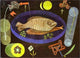 Paul Klee Aroundfish, 18"x27" Wall Decal
