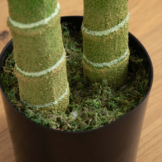 Close-up of the pot base and moss in a lifestyle setting.