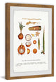 "Botanical Coconut" Framed Painting Print, 12"x18"