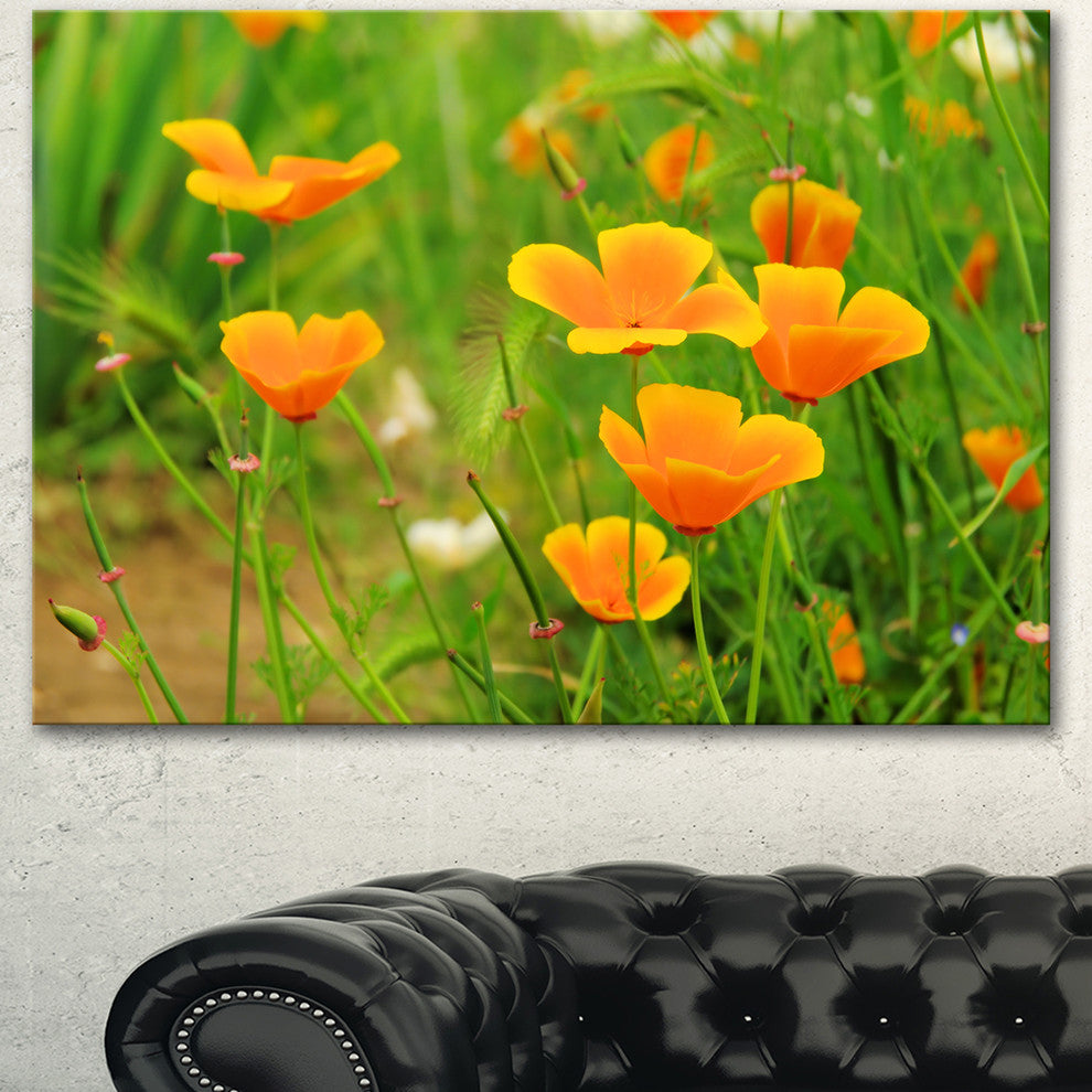 Bright Yellow Poppy Flowers, Floral Canvas Art Print, 40"x30"