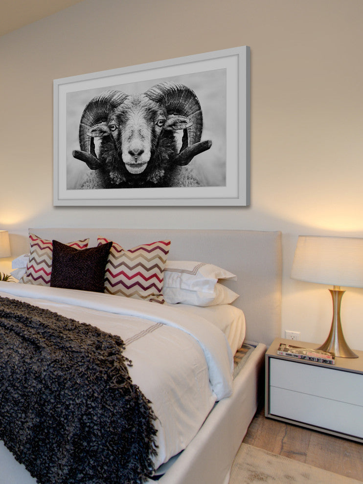 Marmont Hill, "I Dare You Ram" Framed Painting Print, 24x16