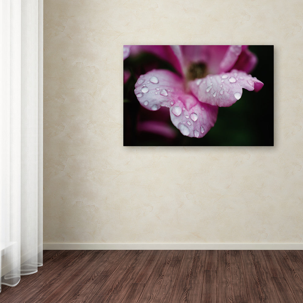 PIPA Fine Art 'Raindrops on Wild Rose Color' Canvas Art, 19x12