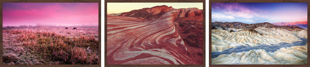 Colors in View Triptych, 54x12