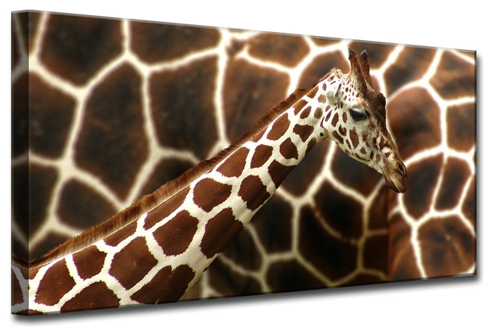 Ready2HangArt ''Giraffe'' Wrapped Canvas Wall Decor, 60"x30"