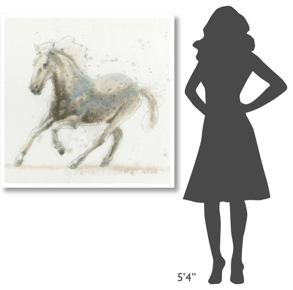 "Stallion II" Digital Paper Print by James Wiens, 42"x42"