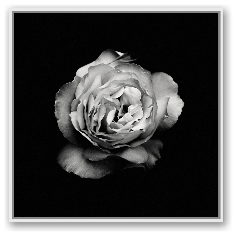 "White Flower" White Floating Framed Canvas, 36x36