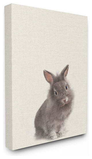 Stupell Ind. Just A Cute Bunny Wall Art, 30" X 40", Canvas