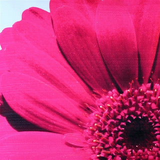 Pillow Decor - Bold Daisy Flower Pink Throw Pillow 20X20