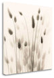 "Italian Tall Grass No. 1" By Alan Blaustein, Giclee on Gallery Wrap Canvas