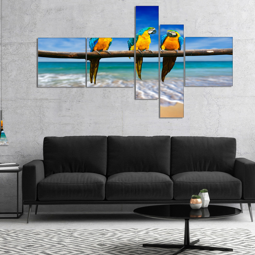 Blue Gold Macaws at Beach, Seashore Photo Canvas Print, 60"x32", 5 panels