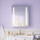 Recessed/Surface Mount LED Medicine Cabinet Mirror with Defogger, 24"x30" Right Hinge