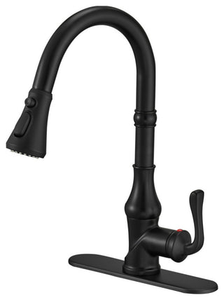 Wellfor Single Level Stainless Steel Kitchen Faucet With Pull Down Spray, Matte Black