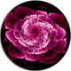 Fractal Flower Dark Pink, Floral Digital Art Round Wall Art, 11"