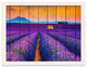 Faux Wood Lavender Fields and Sunset Landscape Framed Photo Paper Wall Art Print, White, 11" X 14"