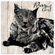 Ready2HangArt 'Purrfect Gent' Wrapped Canvas Cat Wall Art, 20"x20"